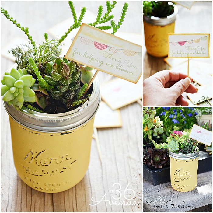 DIY succulent planters in a jar